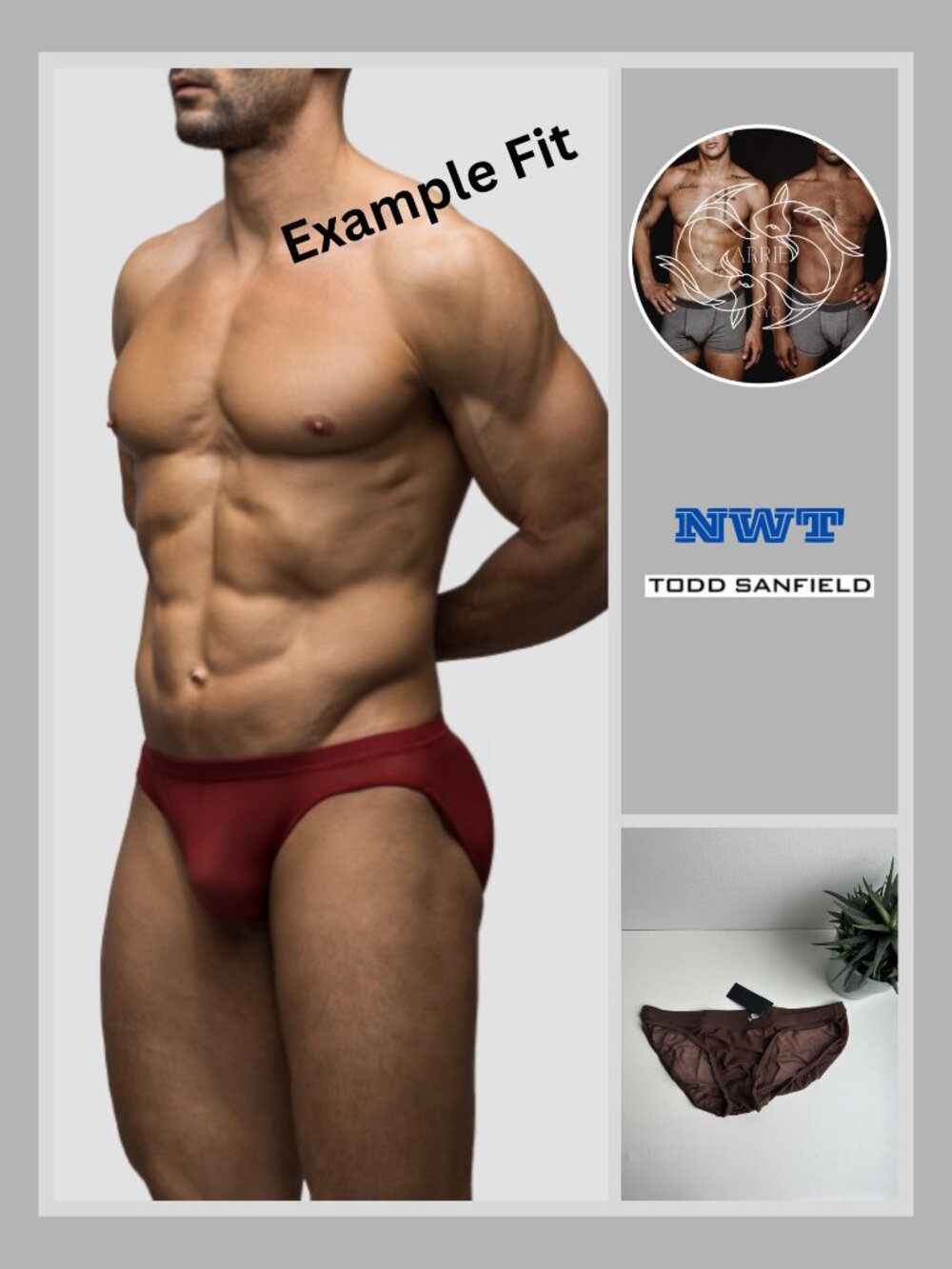 Todd Sanfield - Defiant Mesh Bikini Brief - Leather Brown (M)